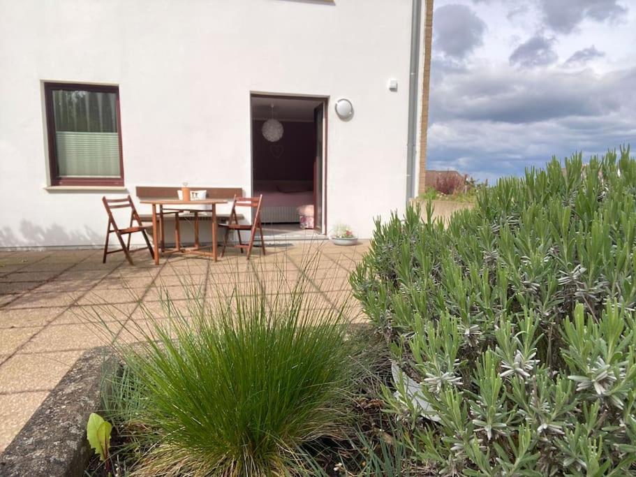 Apartment Am Golfplatz Obernkirchen Екстер'єр фото